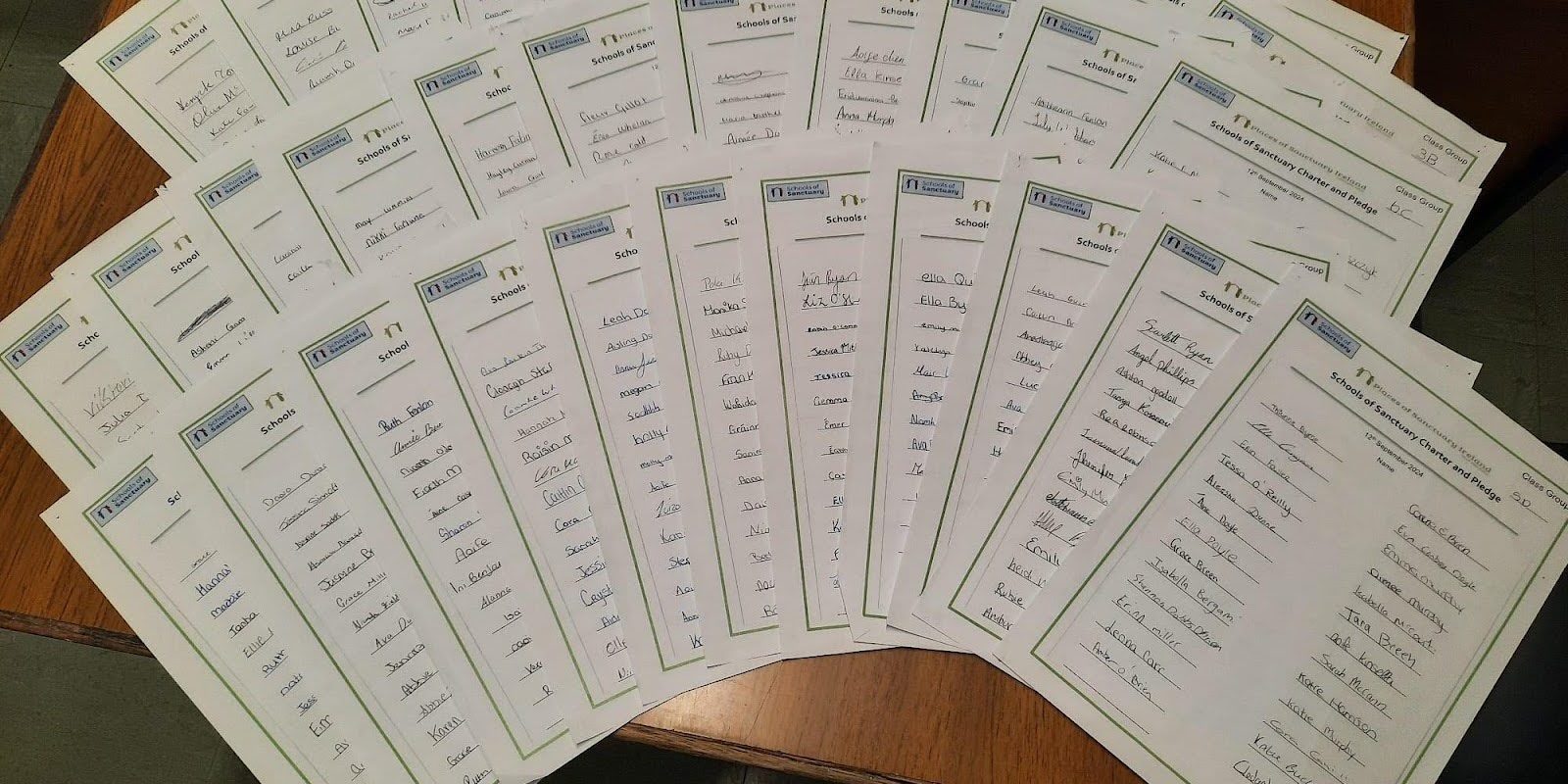 Colaiste Bride Pledge Signing1